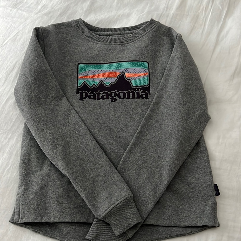 Patagonia Sweatshirt